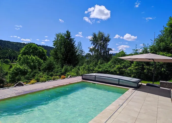 Le Cerf, Cocooning Avec Piscine Et Billard Ban-sur-Meurthe-Clefcy