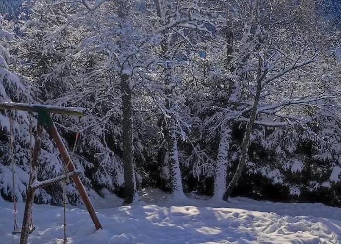 Horská chata Le Cerf, Cocooning Avec Piscine Et Billard Ban-sur-Meurthe-Clefcy